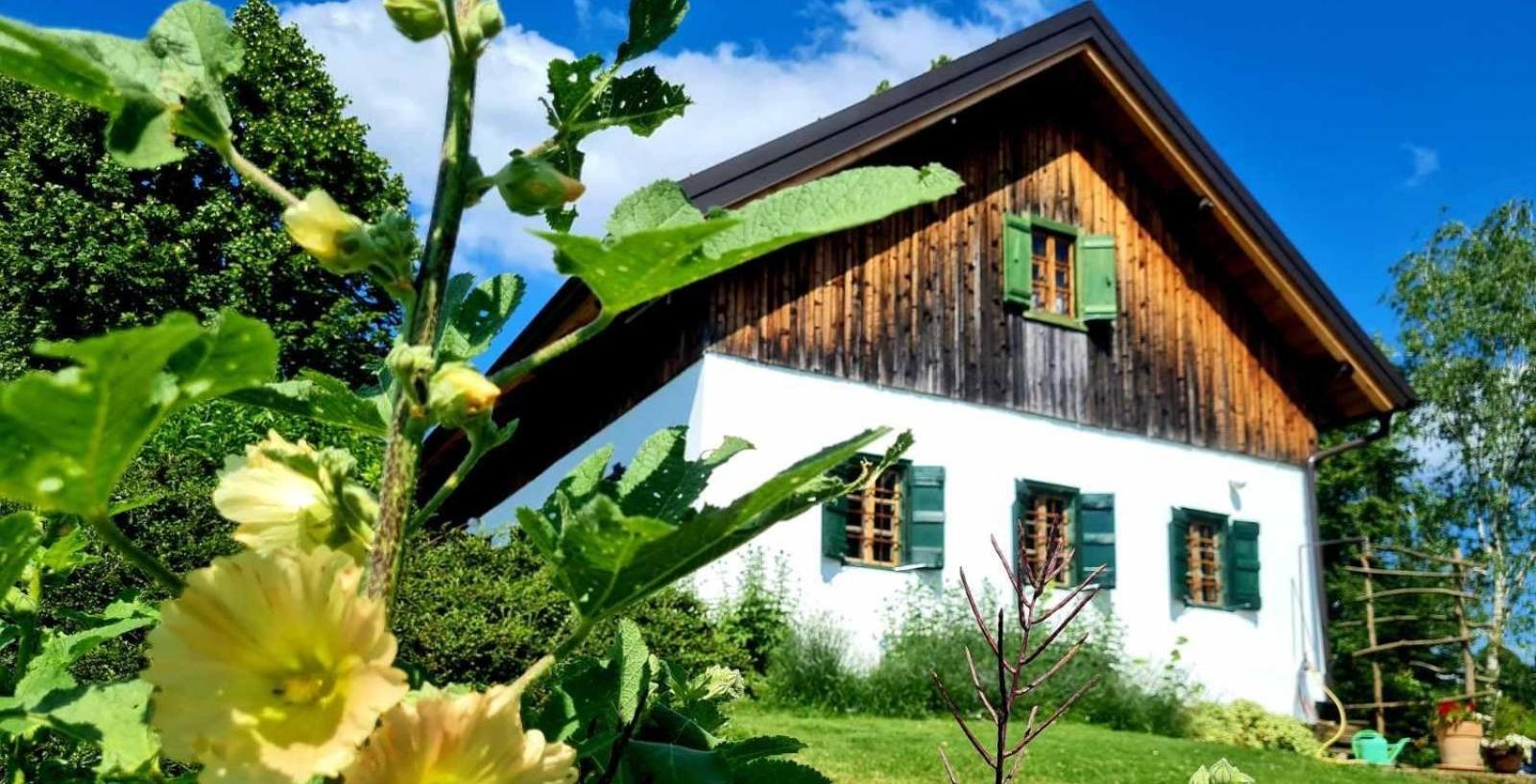 Estate Ana Guest House Ptuj Exterior foto