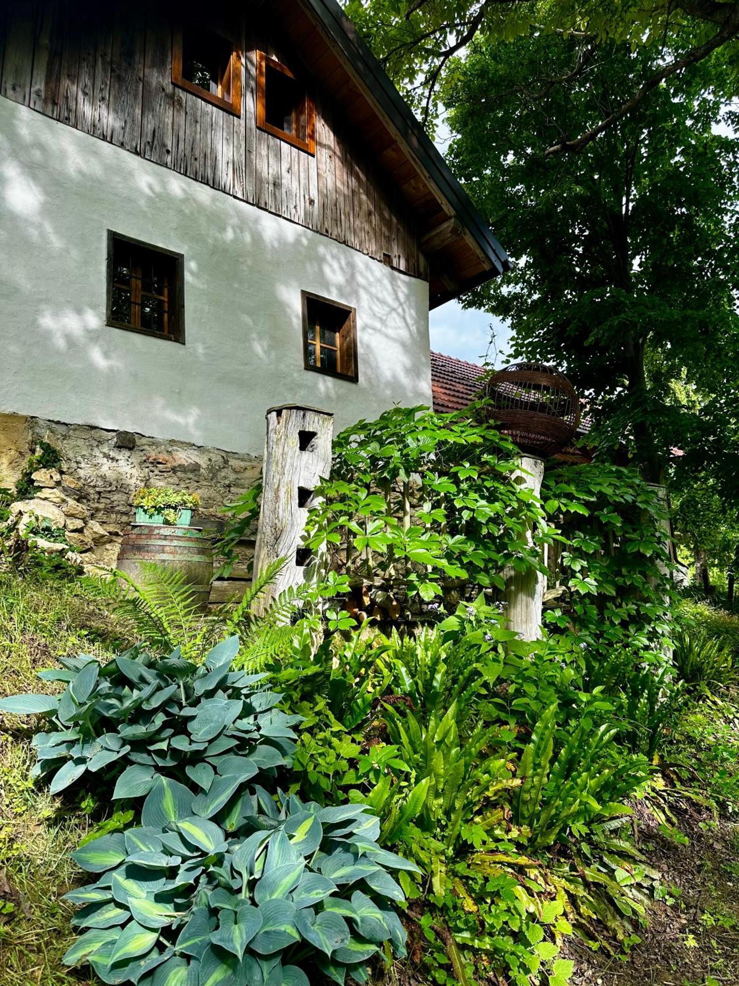 Estate Ana Guest House Ptuj Exterior foto